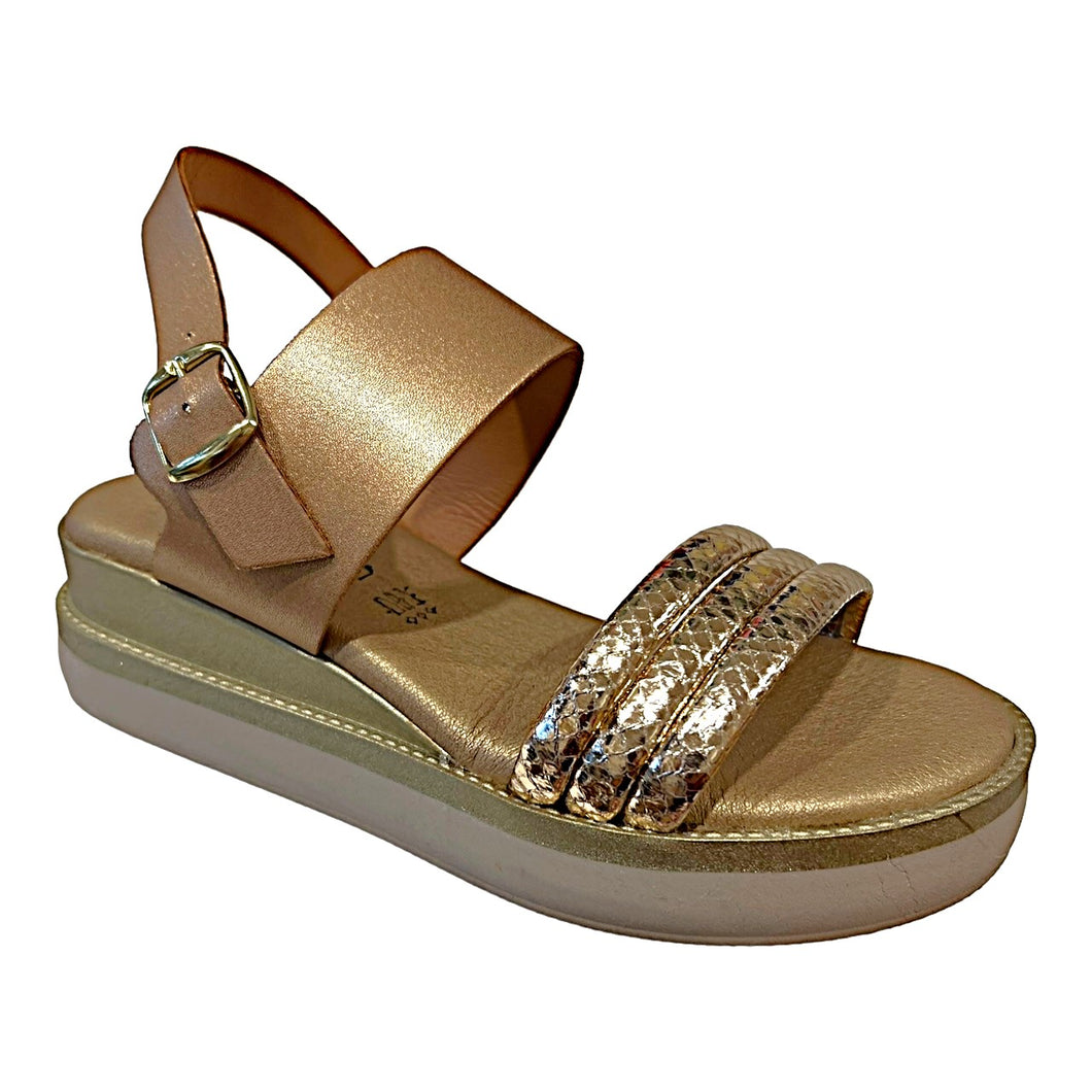 AQ 1824 Rose Gold Platino & Gold Buckle Wedge Sandal