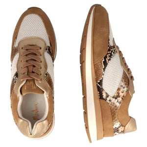 MB 21562 Tan, Champagne, White & Snake Print Sneakers